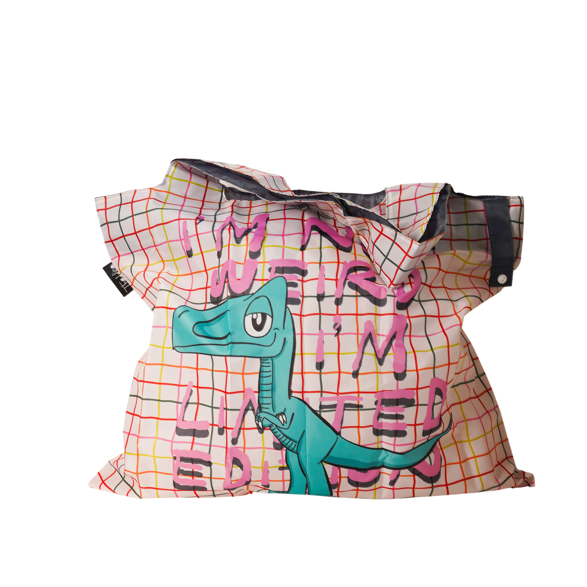 Recycled Bag